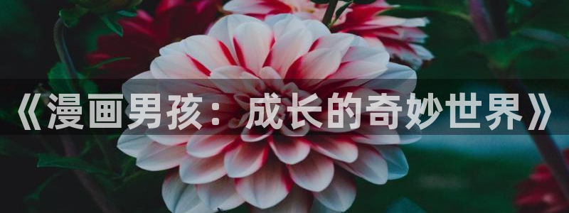 酷漫屋网入口页面：《漫画男孩：成长的奇妙世界》