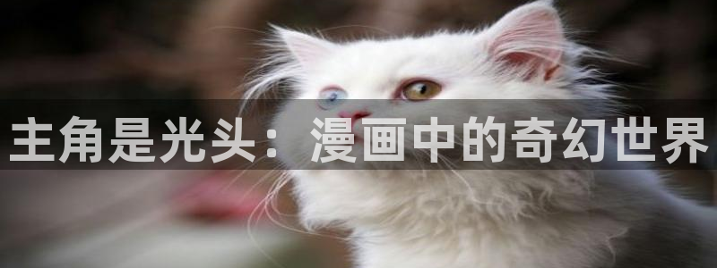 酷漫屋漫画免费漫画页面在线看漫画：主角是光头：漫画中的奇幻世界