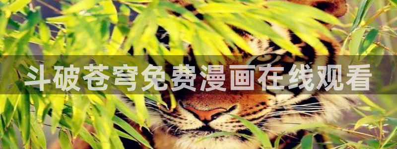 酷漫屋下拉式免费漫画入口：斗破苍穹免费漫画在线观看