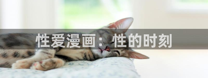酷漫屋下拉式：性爱漫画：性的时刻