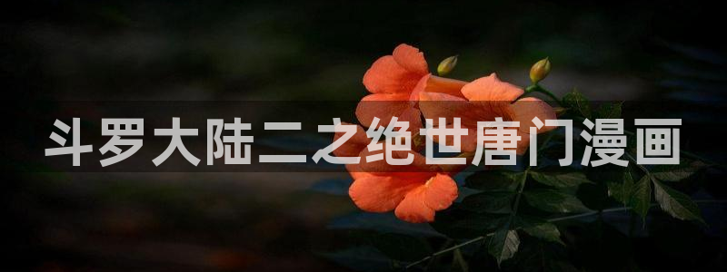 酷漫屋下拉式：斗罗大陆二之绝世唐门漫画